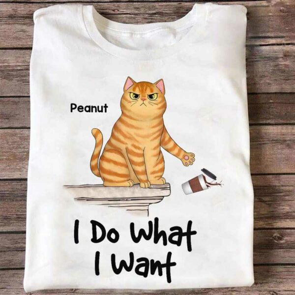 Apparel I Do What I Want Fluffy Cats Personalized Shirt Classic Tee / White Classic Tee / S