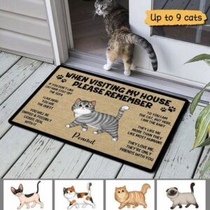 Doormat Please Remember When Visiting Cats House Personalized Doormat 18x30