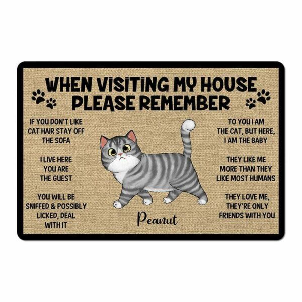 Doormat Please Remember When Visiting Cats House Personalized Doormat